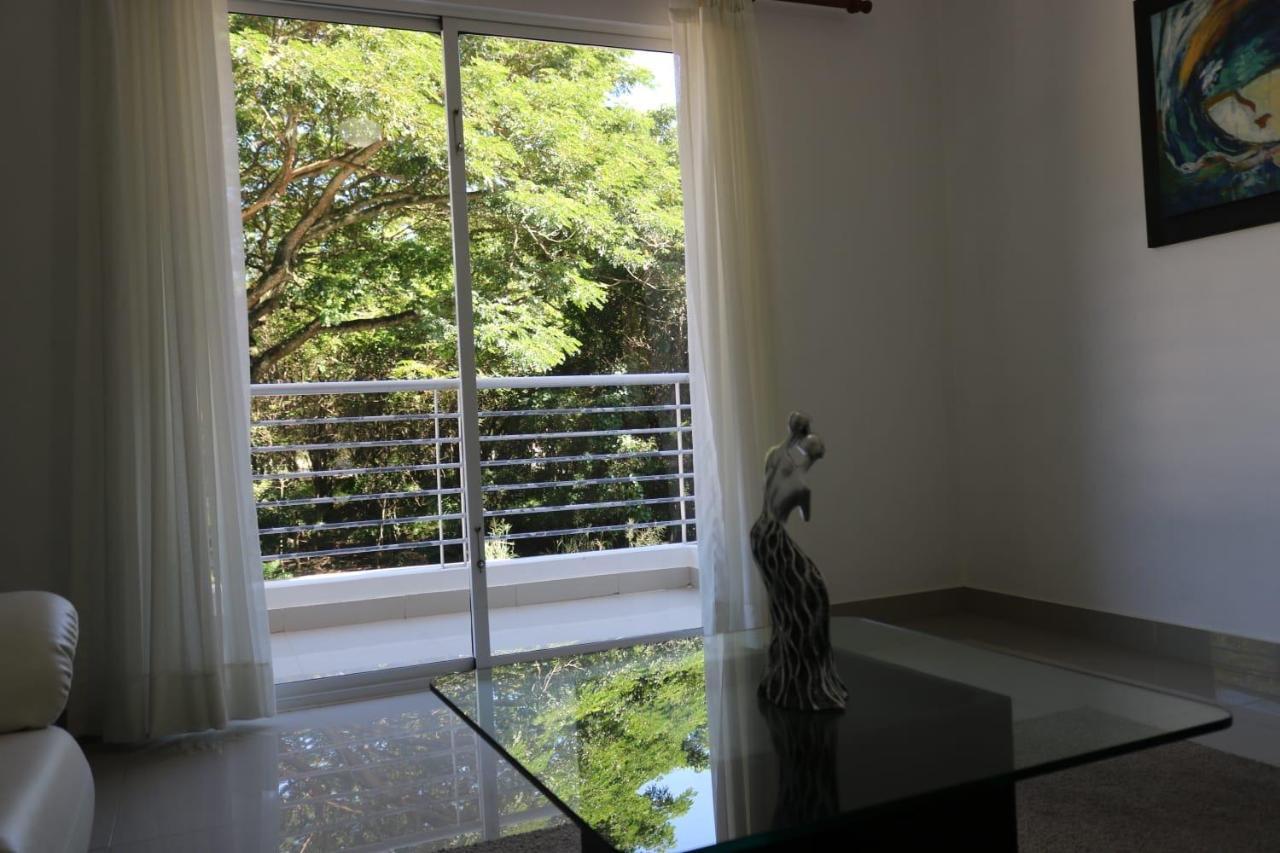 Apartamento Amueblado Amplio Tranquilo Privado Como Tu Lo Mereces Santiago De Los Caballeros Buitenkant foto