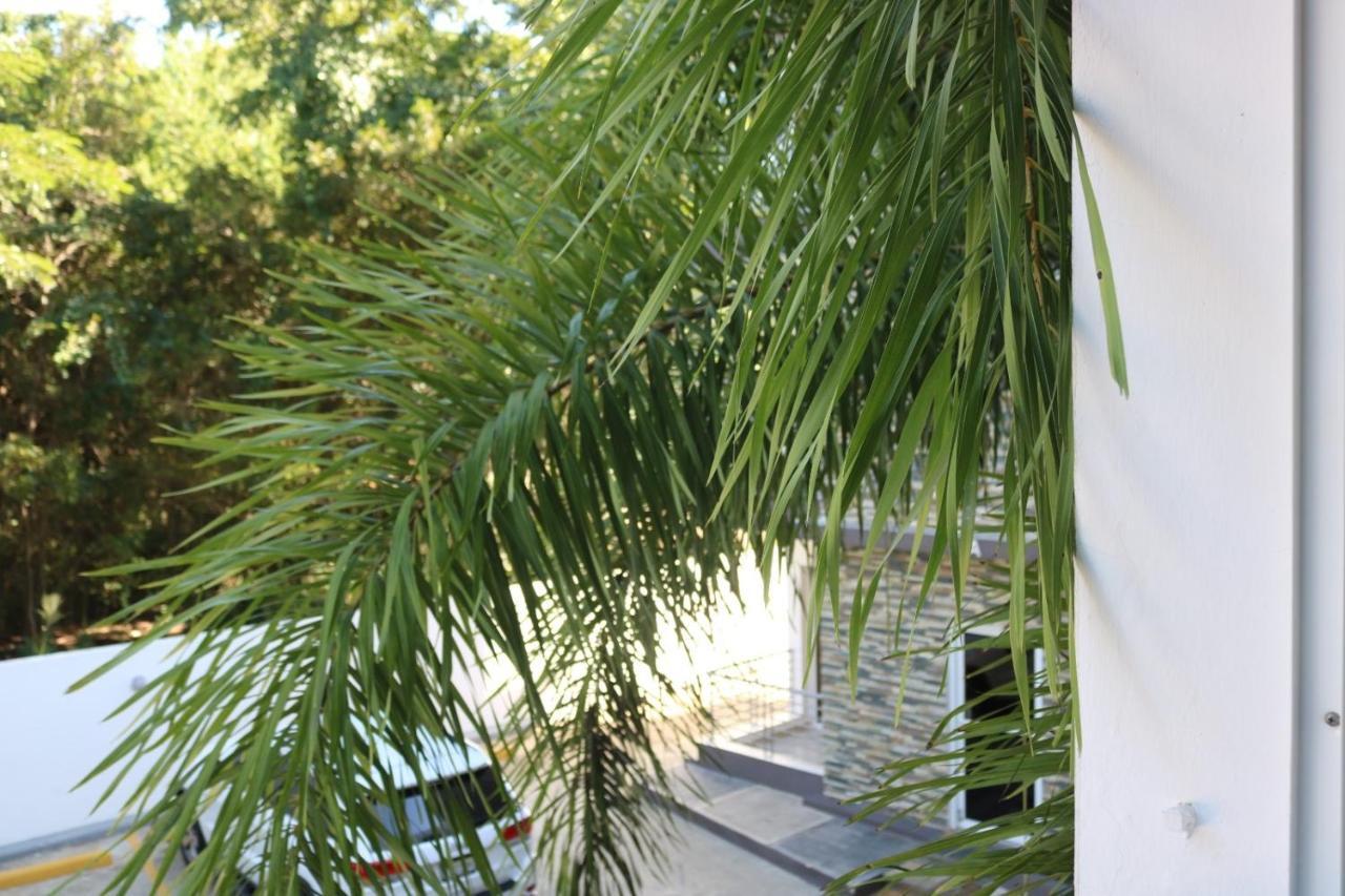 Apartamento Amueblado Amplio Tranquilo Privado Como Tu Lo Mereces Santiago De Los Caballeros Buitenkant foto